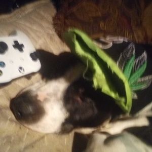 Meet your Posher, Debbie